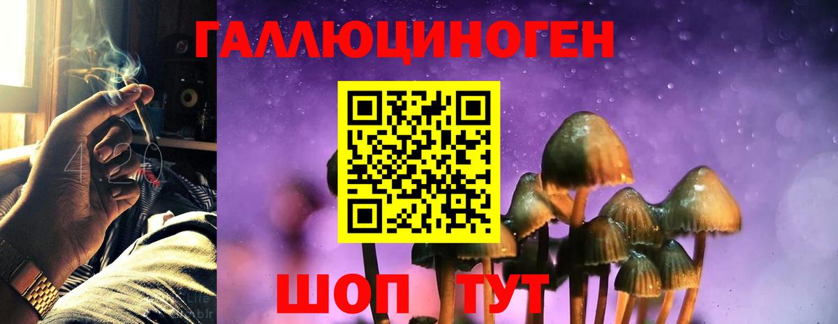 Псилоцибиновые грибы мицелий  Галлюциногенные грибы мицелий  Торжок 