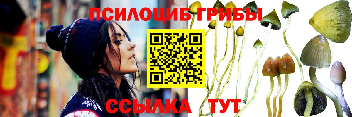Галлюциногенные грибы мицелий Торжок